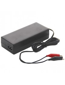 CHARGEUR POUR BATTERIE LITHIUM (CO10602)|AgrivitiDistribution