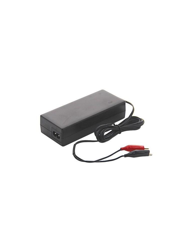 CHARGEUR POUR BATTERIE LITHIUM (CO10602)|AgrivitiDistribution